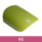 06#